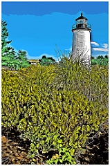 Wildflowers Surround Plum Island Light - Digital Painting